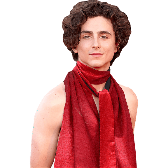 Timothée Chalamet (Sleeveless Outfit) Half Body Buddy Cutout