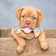 thumbnail image 5 of Durable Dog Chew Toys for Aggressive Chewers Interactive Teeth Cleaning Toys Long Lasting Bone for Small Medium Large Dogs, 5 of 5