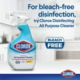 Clorox CleanUp All Purpose Cleaner with Bleach, Spray Bottle, Original