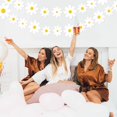 thumbnail image 5 of Bicuces 8 Pcs Daisy Boho Banner Daisy Party Decorations Groovy Party Favors White Daisy Decor Spring Flower Garland Spring Flower Garland Daisy Paper Cutouts for Daisy Birthday Party Decorations, 5 of 5