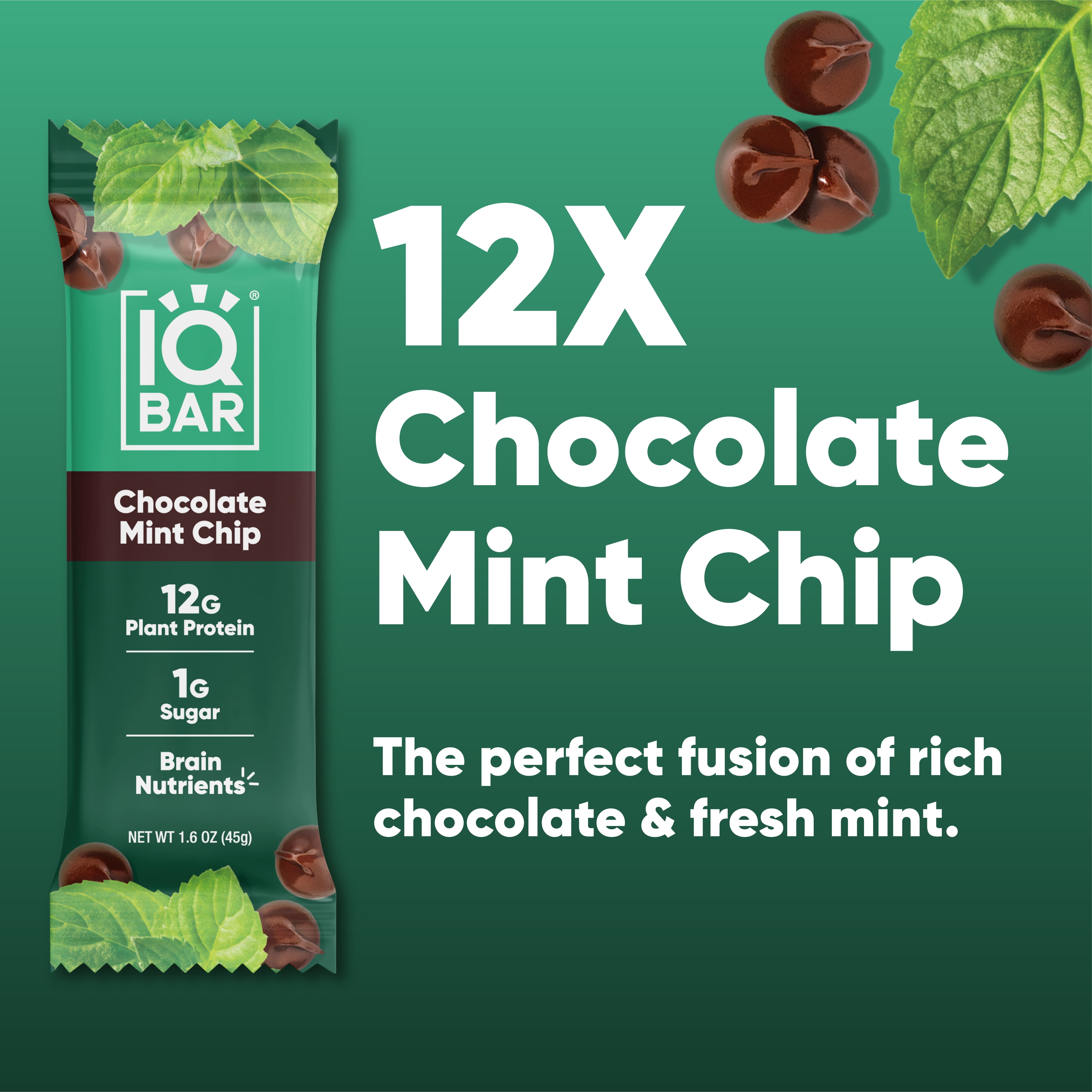 IQBAR Clean Plant Protein Bars - Chocolate Mint Chip - 12 Count - Keto, Vegan, High Fiber, Gluten and Dairy Free, Low Sugar Snack