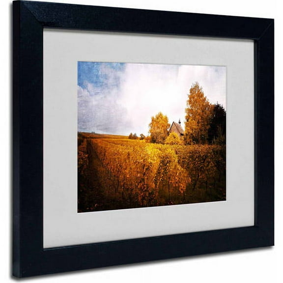Trademark Fine Art "Light in Vineyards" Canvas Art by Philippe Sainte-Laudy, Black Frame