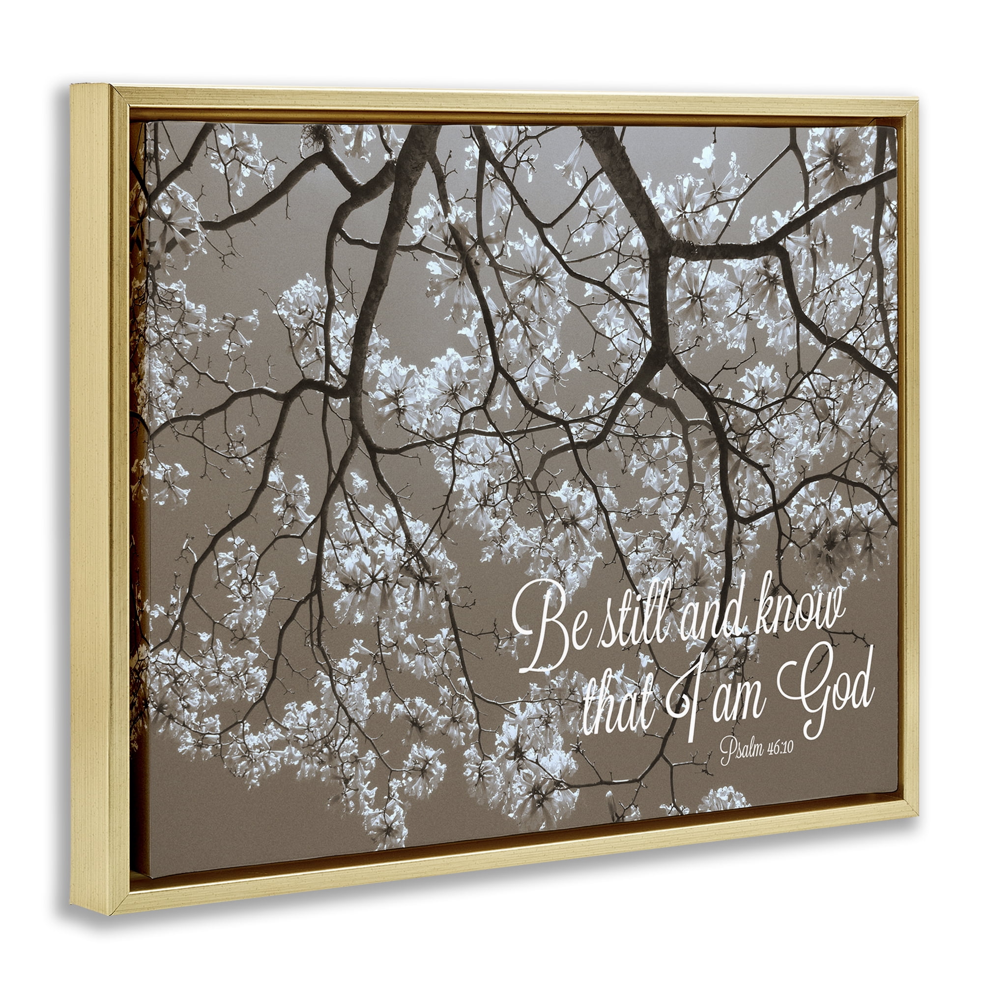 Stupell Industries Be Still Apple Blossoms Gold Framed Floater Canvas Wall Art, design by Gail Peck