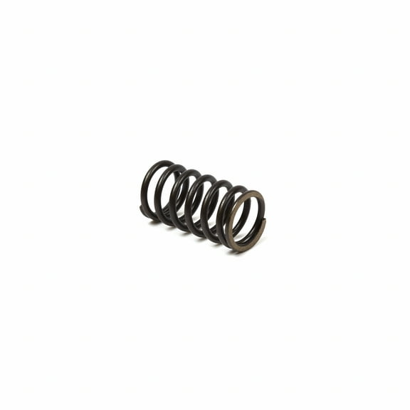 Briggs & Stratton Valve Spring | 692084