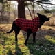 thumbnail image 3 of Ropa con capucha para mascotas Otoño e Invierno ropa para perros de tartán sombrero extraíble suéter para mascotas, 3 of 5