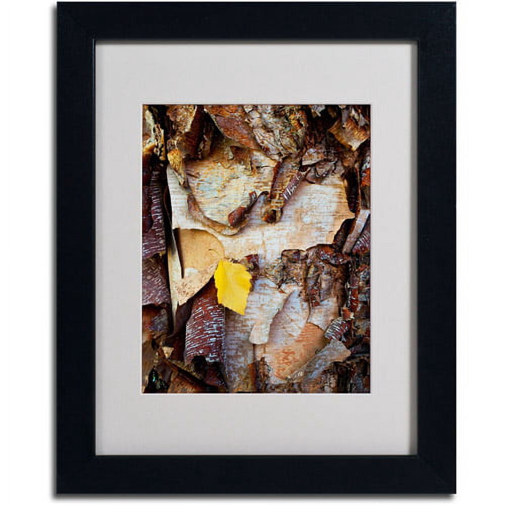 Trademark Fine Art "Birch Leaf" Canvas Art by Kurt Shaffer, Black Frame