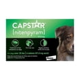 thumbnail image 1 of Capstar , Comprimé Antipuce Oral - 11-57 kg - Lot de 6, 1 of 1