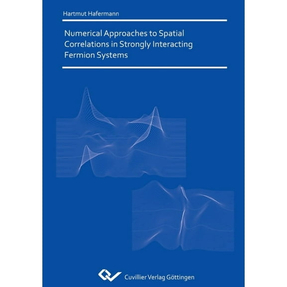 Numerical Approaches to Spatial Correlations in Strongly Interacting Fermion Systems (Paperback)