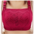 thumbnail image 5 of Sujetador push-up sexy con espalda descubierta, transpirable, paramelia, copa completa, encaje, ropa interior de talla grande, 5 of 5
