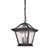 thumbnail image 3 of Two Light Outdoor Hanging Lantern, 3 of 3