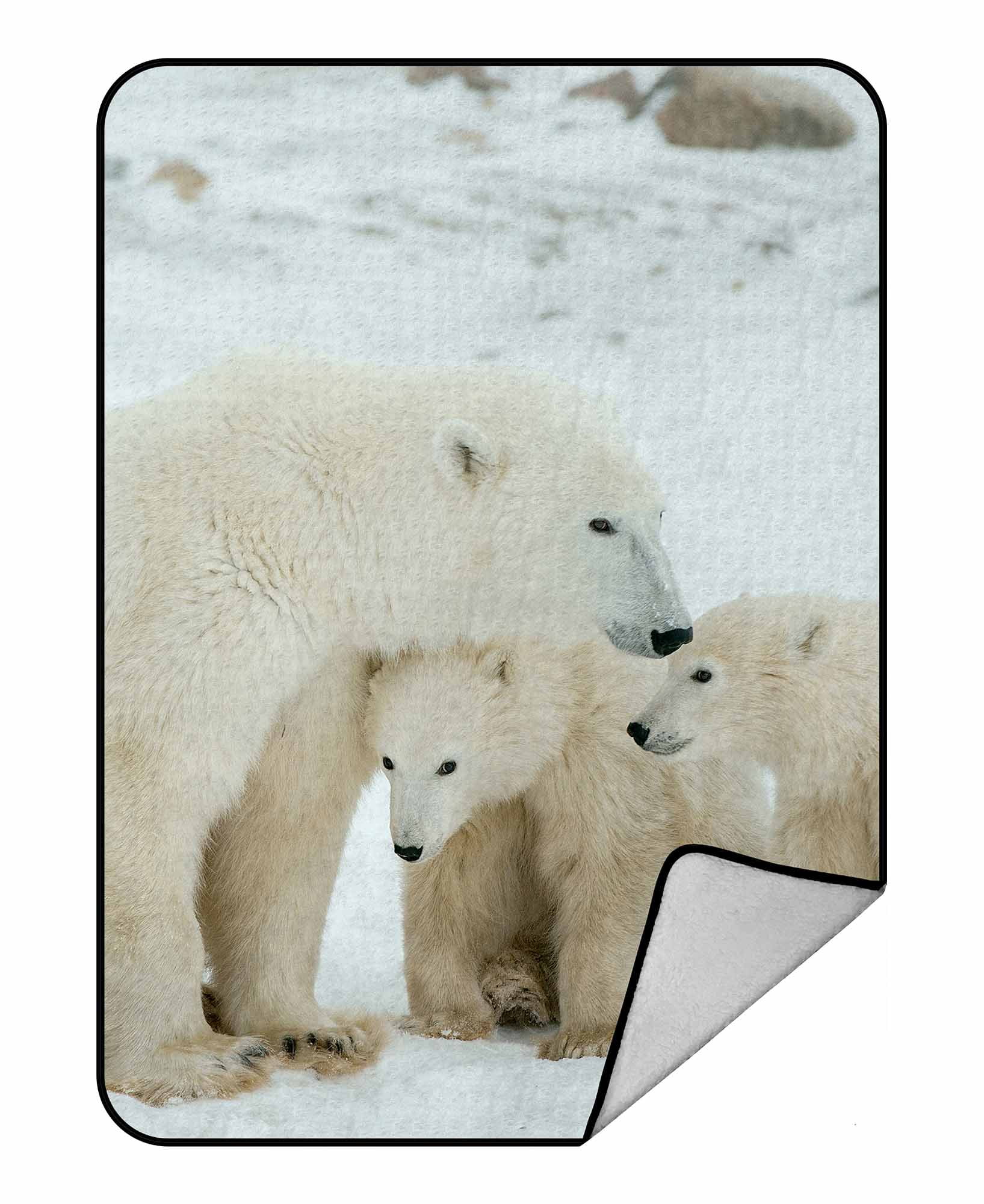 Magnificent Polar Bear Fleece Blanket Exclusively Blue and White TV Blanket 