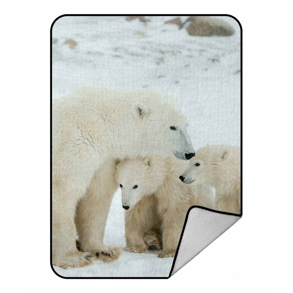 PKQWTM Polar bear cubs snow Blanket Crystal Velvet Throw Bed Blanket