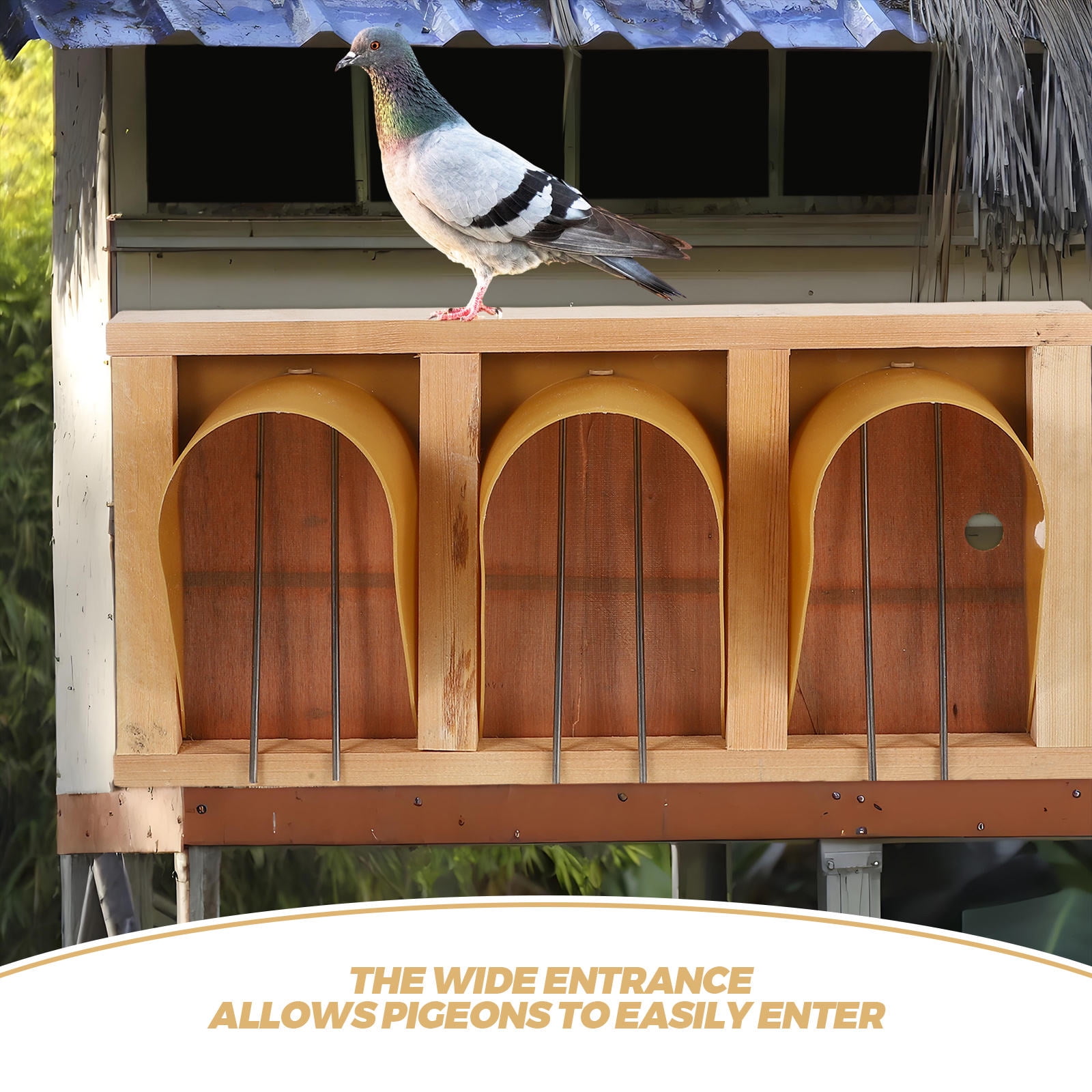 Worgeous Elegant European Pigeon Cage Door Simple Installation Bird House Door Wood Pigeon Entrance Door For Racing Pigeons Robust Bird Cage Supplies