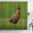 thumbnail image 1 of Ambesonne Green Shower Curtain, European Creature Scene Photo, 69"Wx70"L, Ginger Chocolate and Red, 1 of 3