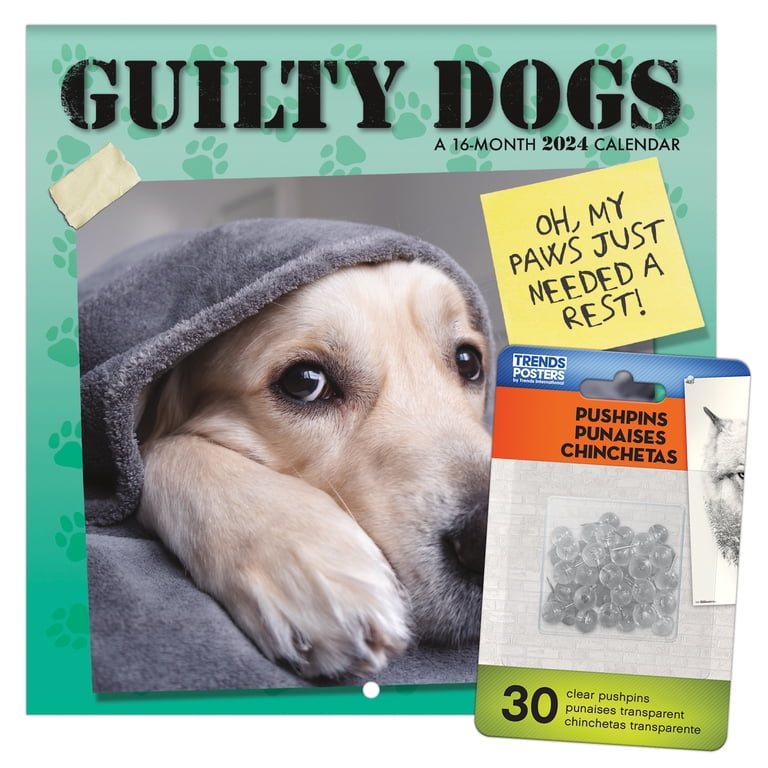 2024 Guilty Dog Mini Wall Calendar - 7x7 Inch, Monthly Pages With Funny Dog Photos
