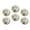 C1818, variant on Glass Refrigerator Magnet 6Pcs Magnetic Fridge Sticker,Decor for Kitchen,Whiteboard,Cabinet,Pig With Two Baby Pigs
