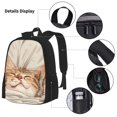 thumbnail image 3 of Fotbe Sleeping Cat In Blanket Set Escolar 3 en 1 para Niños - Mochila Duradera con Lonchera Aislante y Estuche para Lápices - Mochila Escolar para Niños y Niñas, 3 of 7