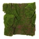 thumbnail image 4 of Musgo Artificial para jardín, tapete de musgo falso para manualidades, césped simulado, decoración artesanal, 4 of 4
