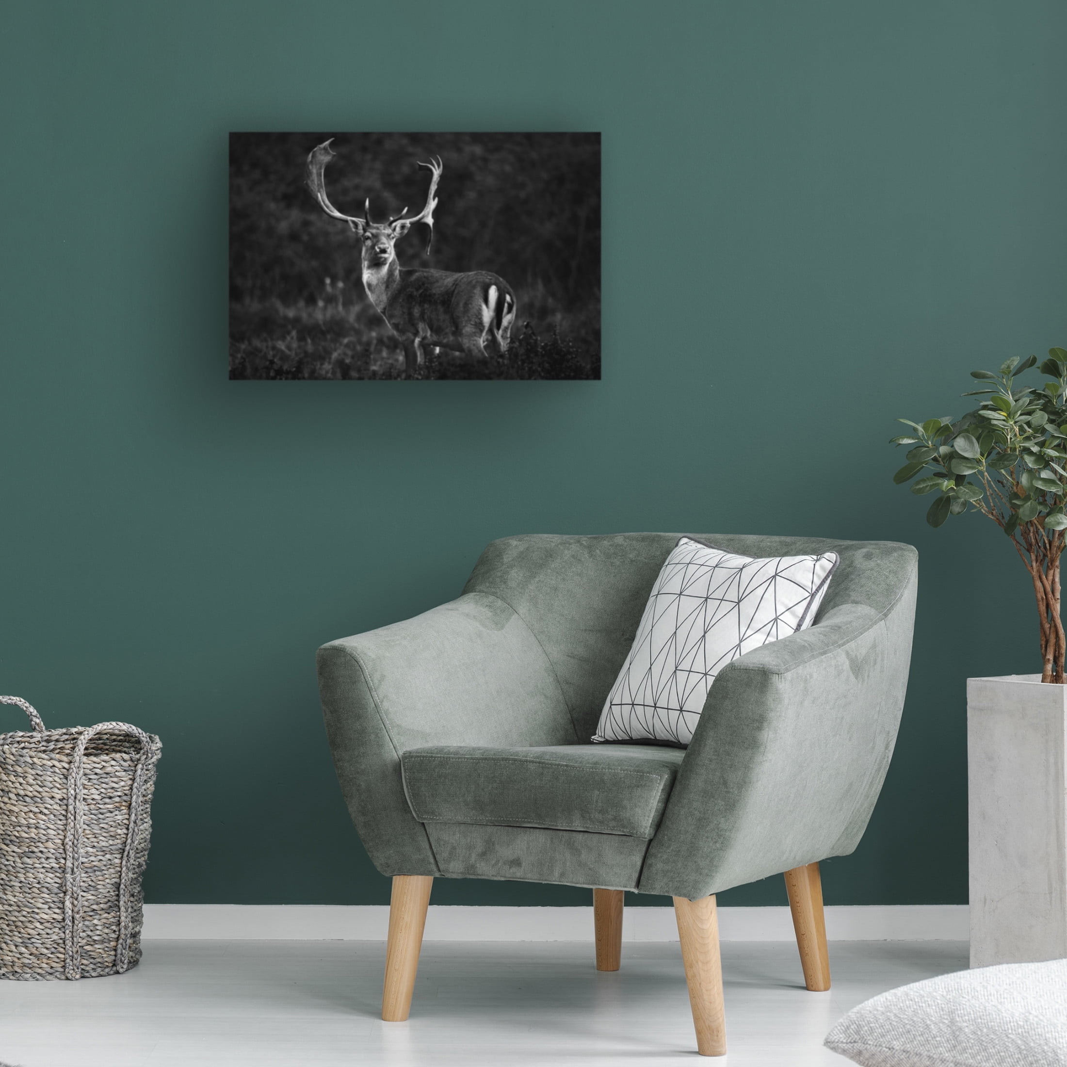 Trademark Fine Art Riccardo Mazzoni Ready For The Love Season Canvas Wall Art