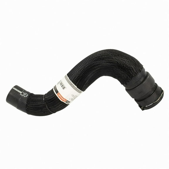 Motorcraft HOSE - RADIATOR (P)