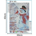 thumbnail image 2 of 1pc 5d Diamond Painting Cross Stitch Kit Snowman And Bird Pattern, 2 of 3