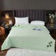 thumbnail image 1 of CaiYueKe Chinese Mugwort Summer Quilt, Mosquito Repellent Air Conditioner Blanket, Cooling Breathable Bedding, Machine Washable Lightweight Quilt, Anti Insect Summer Blanket for Bed, 1 of 7