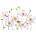 thumbnail image 2 of Disher, Mandy 14x11 White Modern Wood Framed Museum Art Print Titled - Japanese Anemones, 2 of 4