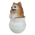 thumbnail image 4 of Pet Pomeranian Pom Pom Teacup Puppy Dog Figurine With Glass Eyes Pup In Pot, 4 of 9