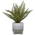 thumbnail image 1 of Bouclair Artificial Fern Fake Plant in Tri-Color Ceramic Pot Living Room Office Shelf Decor, 1 of 3