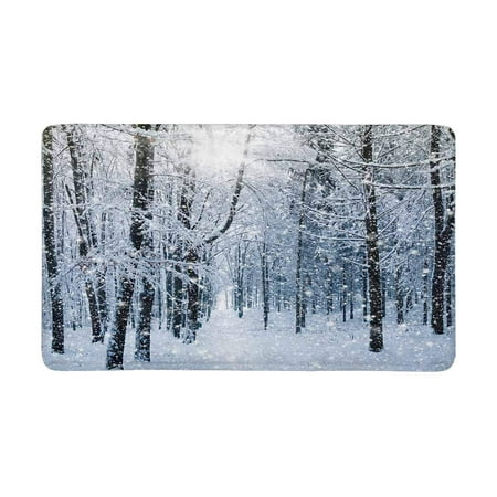 Pop Winter Landscape Scene Decor Doormat Entrance Mat Floor Rug