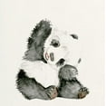 thumbnail image 2 of Wang, Melissa 12x12 White Modern Wood Framed Museum Art Print Titled - Baby Panda I, 2 of 4