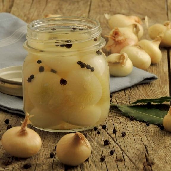 Eden Brothers Onion Seeds (Short Day) - Cipollini Yellow