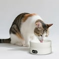 thumbnail image 6 of Heated Cat Bowl Automatic Pet Drinking Bowl 4 Temperature Levels Outdoor for Cats Dogs Kittens Puppies Chickens Ducks Birds Animals, 6 of 8