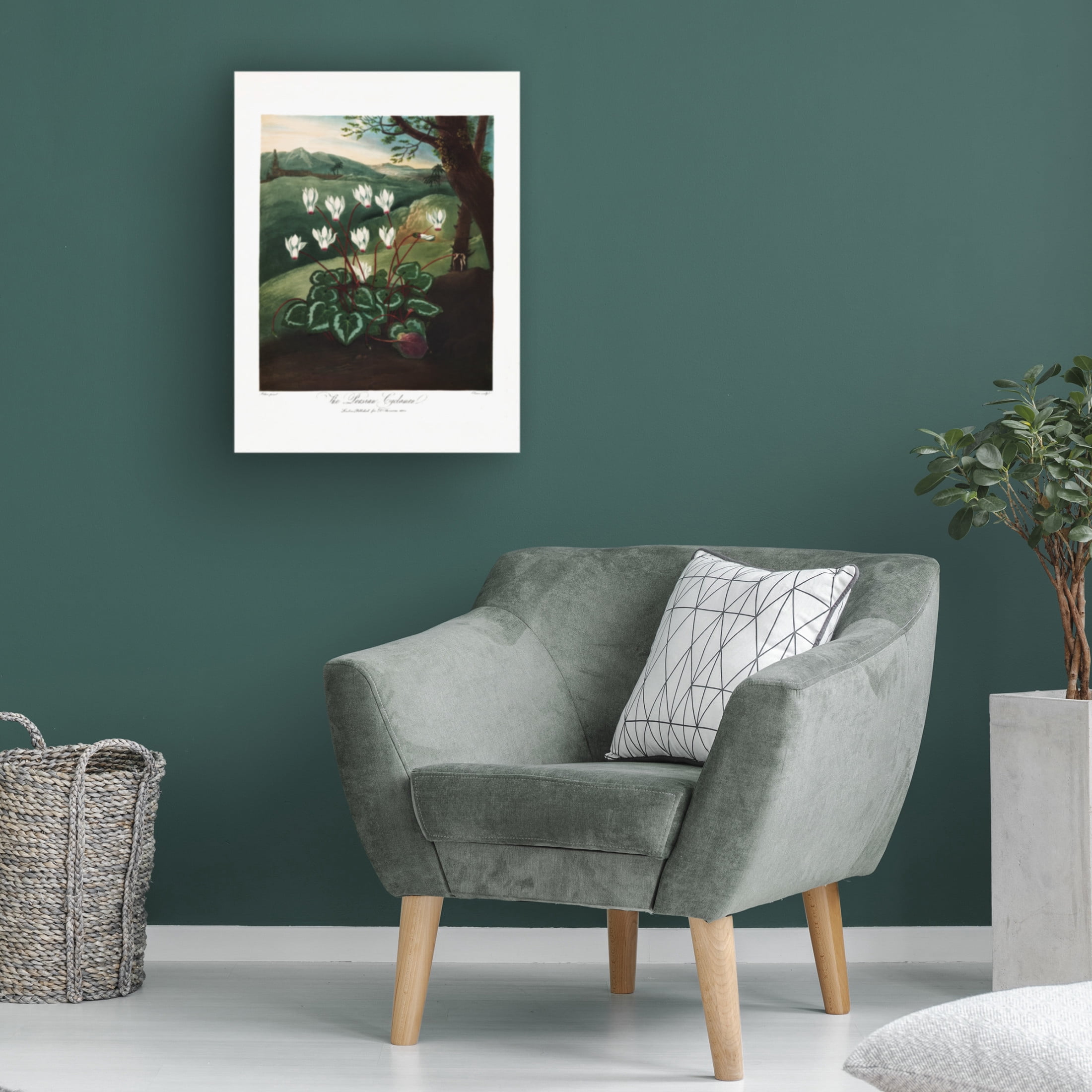Trademark Fine Art Pictufy  The Persian Cyclamen from The Temple of Flora 1807 Canvas Wall Art