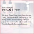 thumbnail image 3 of Camille Rose Naturals Clean Rinse, 8.0 fl. oz., 3 of 5