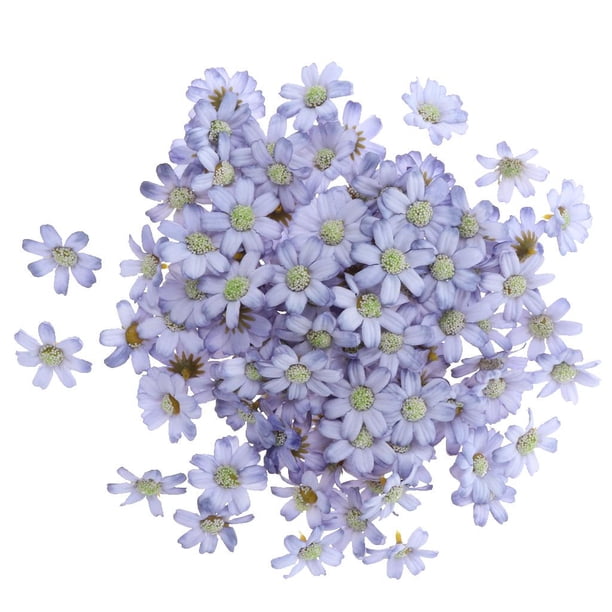 de seda artificial 100 Piezas Cabeza de Flor Artificial Margarita de Seda Decoración de La Boda Azul