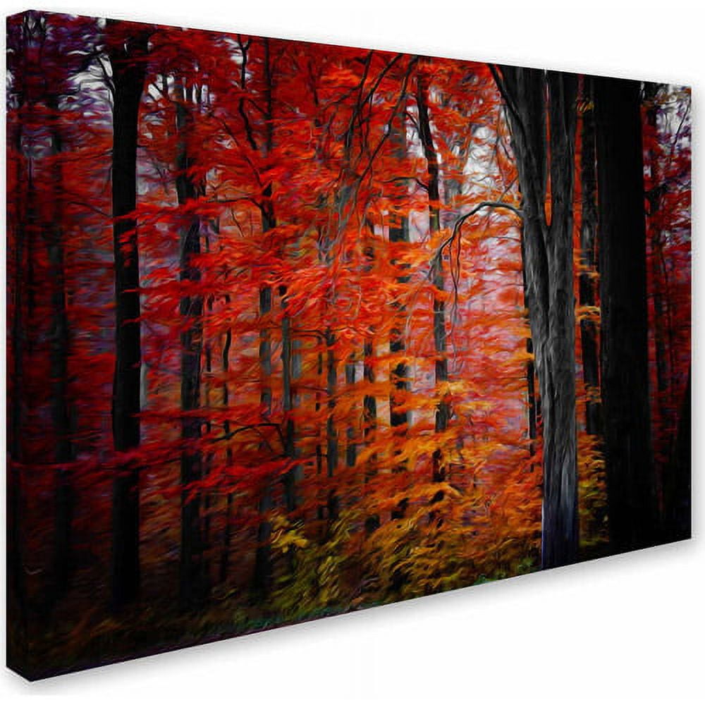 Trademark Fine Art "No Particular Title" Canvas Art by Philippe Sainte-Laudy