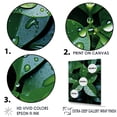 thumbnail image 3 of Designart "Rain-Kissed Botanical" Abstract Botanicals Canvas Wall Art, 3 of 7