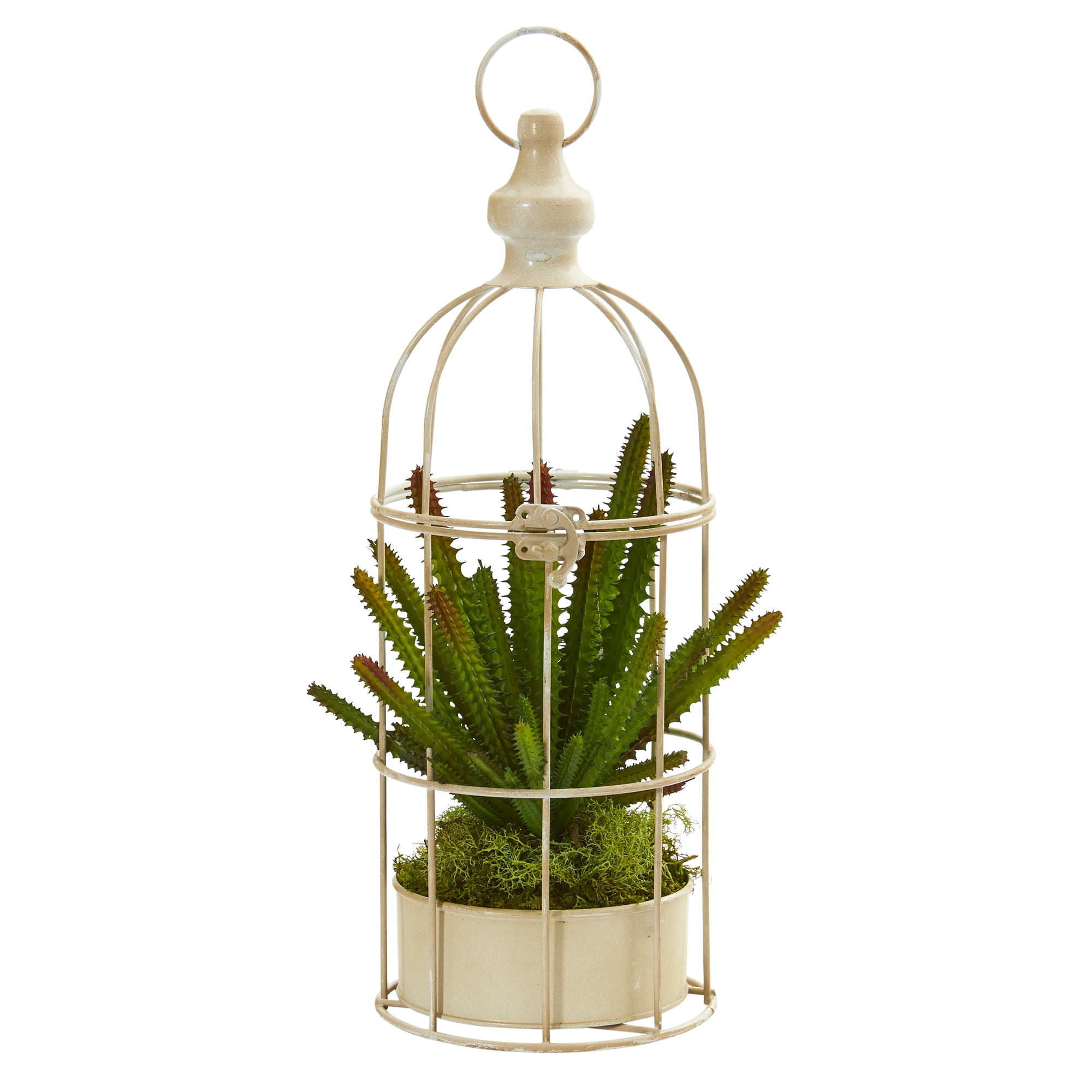15in. Cactus Succulent Artificial Plant in Decorative Cage