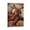 Frame-style, variant on Impressionist Painters Pierre-Auguste Renoir Spanish Guitarist Poster Poster Decorative Painting Canvas Wall Art Living Room Posters Bedroom Painting 12x18inch(30x45cm)