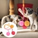 thumbnail image 2 of KAKOWELY Pelota de sisal colgante para gatos, juguete interactivo para interiores, pelota rascadora para gatos, 2 of 5