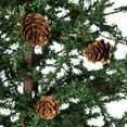 thumbnail image 6 of Vickerman 36" Caramel Pine Artificial Christmas Tree Unlit, Seasonal Indoor Home Decor with Decorative Burlap Base, 6 of 7