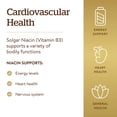 thumbnail image 4 of Suplemento Solgar de niacina (vitamina B3), 500 mg, 250 g de grasa vegetal, 4 of 5