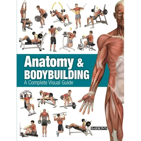Anatomy & Bodybuilding : A Complete Visual Guide (The Best Steroids For Bodybuilding)