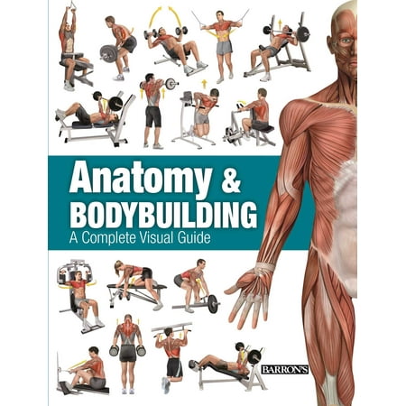 Anatomy & Bodybuilding : A Complete Visual Guide (Best Bodybuilding Diet App)