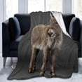 thumbnail image 1 of Plush Micro Fleece Blanket for Bed and Couch - Soft and Cozy Animal Design Throw Cover, 1 of 4