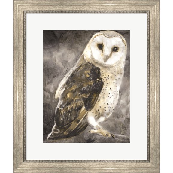 Great Art Now Snowy Owl 2 by Stellar Design Studio, Framed Wall Art, 20W x 23.5H