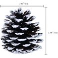 thumbnail image 2 of 6 conos de pino de Navidad de 1,96 pulgadas con punta de nieve, cono de pino natural, adorno de cono de pino esmerilado para decoración y diseño (6 piezas) Vhermosa WRJM-374-2, 2 of 4