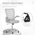 thumbnail image 3 of Vinsetto Mesh Office Chair with Lumbar Back Support and Flip-Up Armrests, 3 of 9