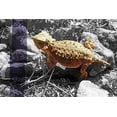 thumbnail image 2 of Popcorn 14x11 Gold Ornate Wood Framed with Double Matting Museum Art Print Titled - Horned Toad B-W Purple Stripe, 2 of 4